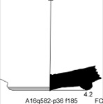 W19d3306 A16q0582-p36 Q822 kF cv f185.jpg